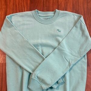 Abercrombie Kids Light Blue Sweatshirt